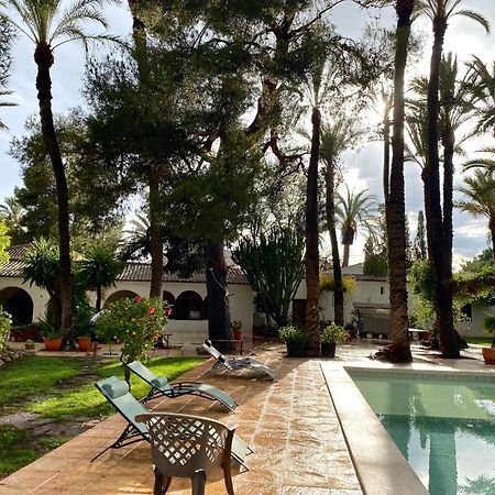 Pink Lemon House Bed & Breakfast Elche Exterior photo
