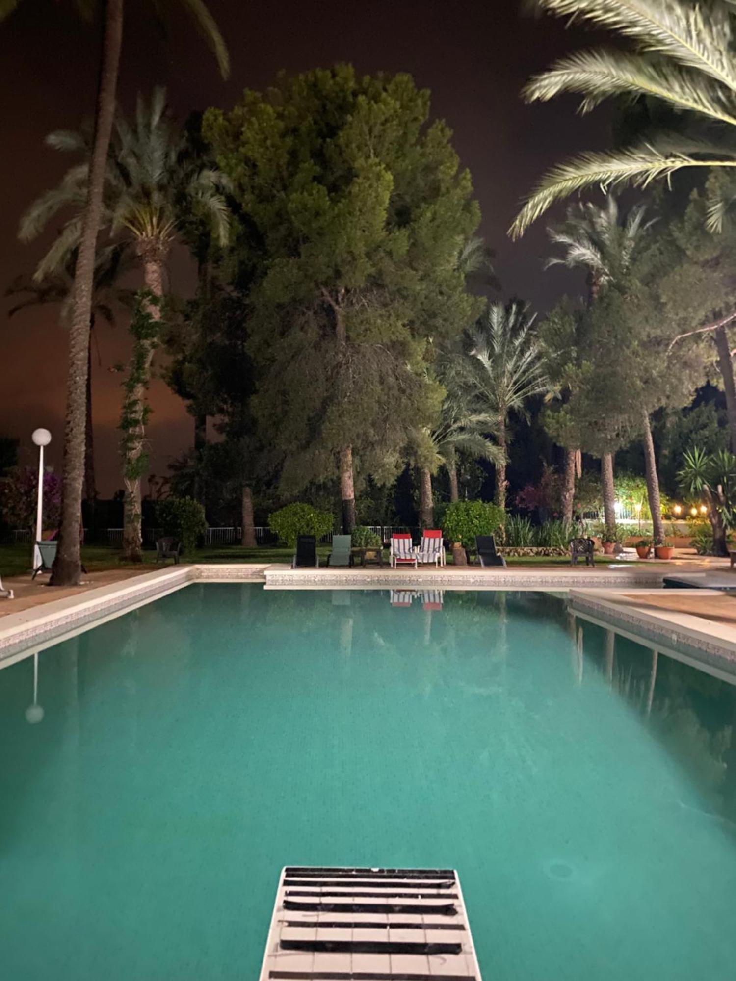 Pink Lemon House Bed & Breakfast Elche Exterior photo