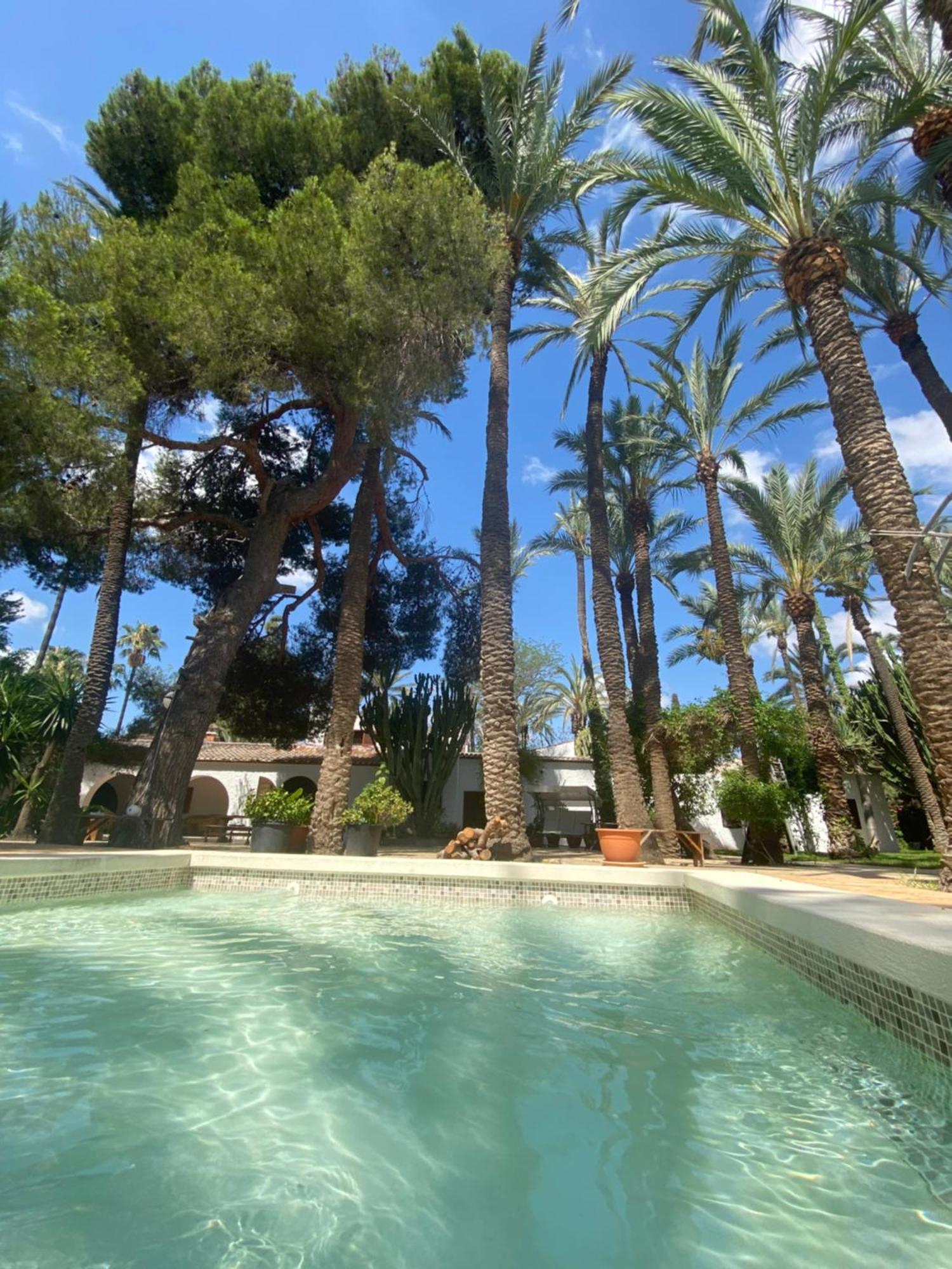 Pink Lemon House Bed & Breakfast Elche Exterior photo