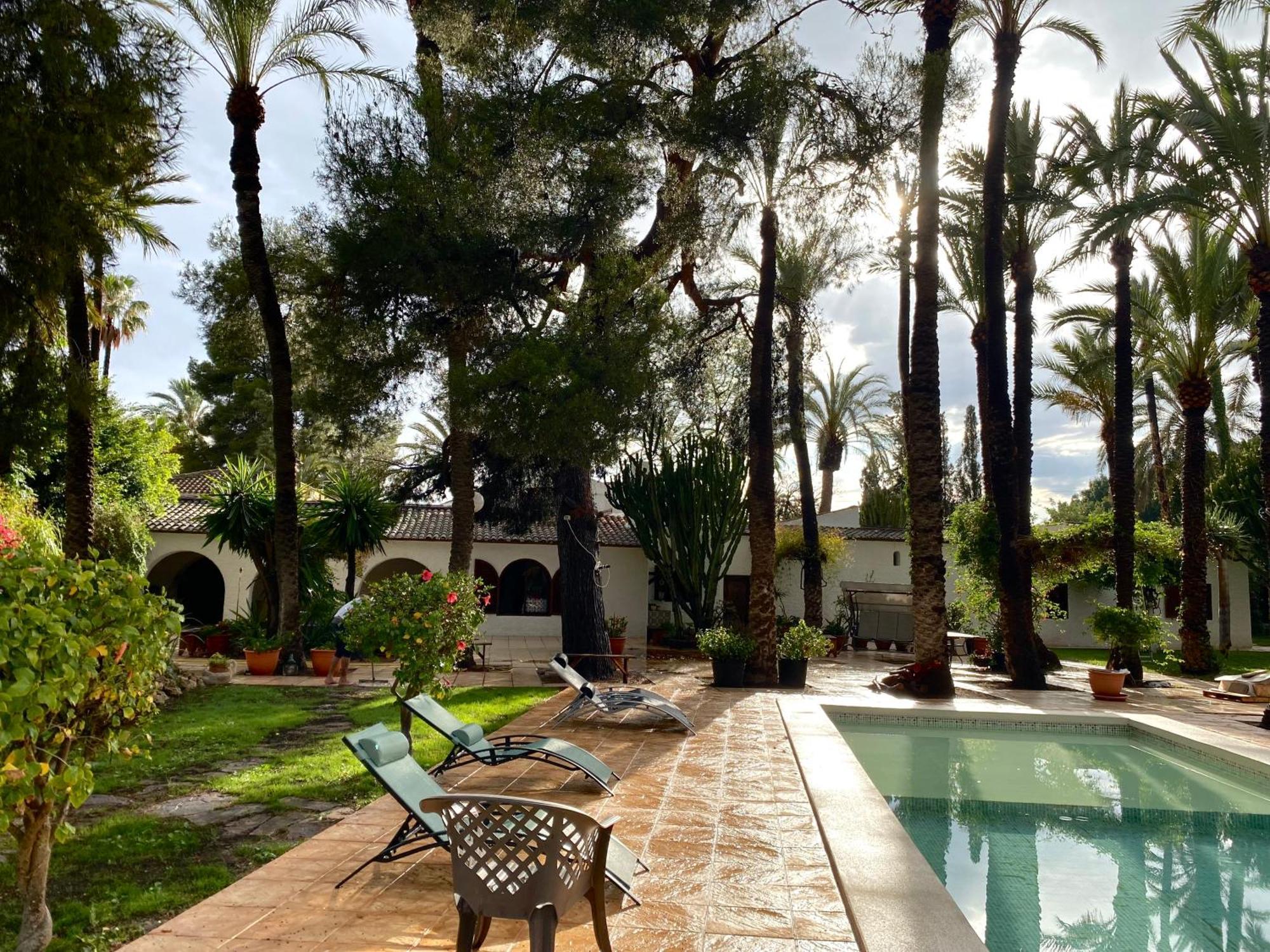Pink Lemon House Bed & Breakfast Elche Exterior photo