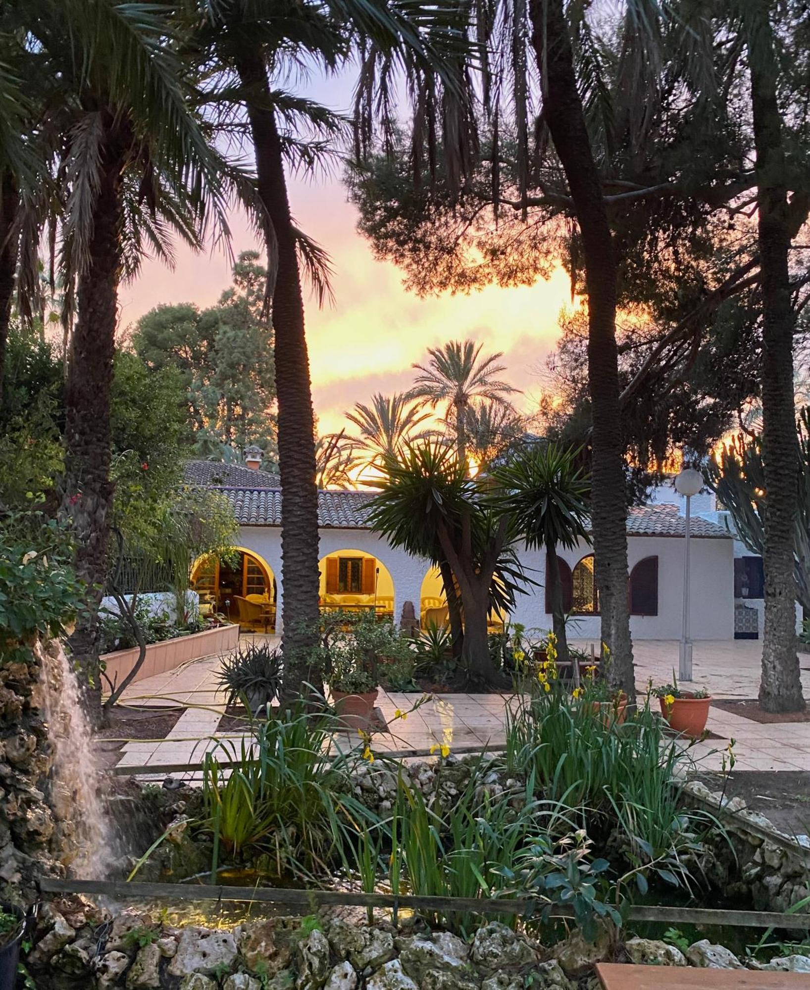 Pink Lemon House Bed & Breakfast Elche Exterior photo