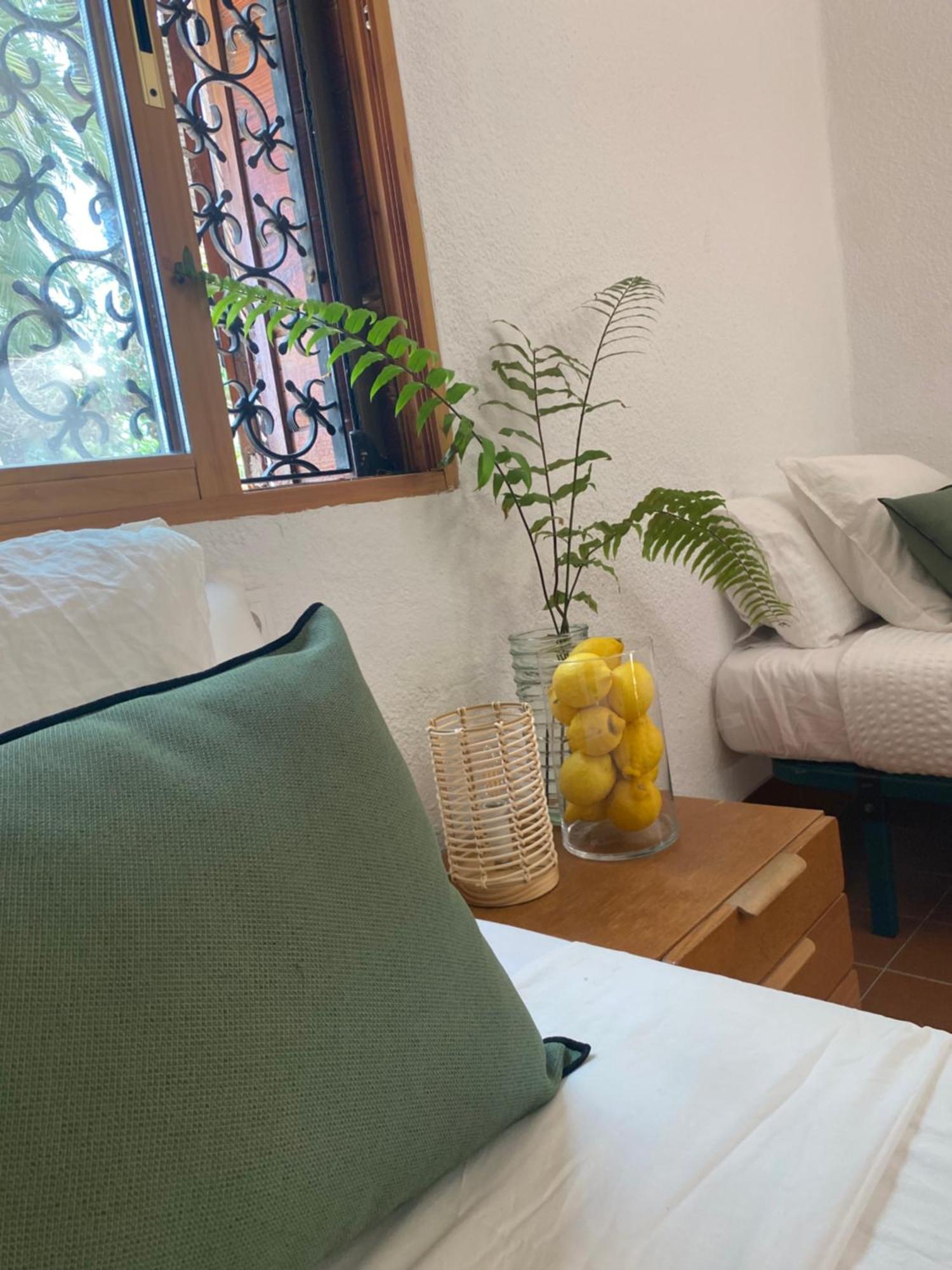 Pink Lemon House Bed & Breakfast Elche Exterior photo