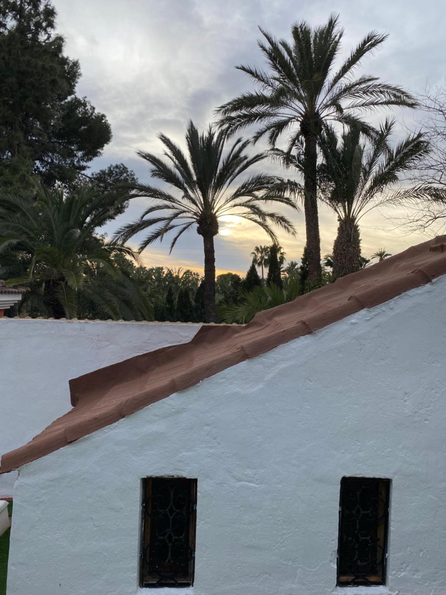 Pink Lemon House Bed & Breakfast Elche Exterior photo
