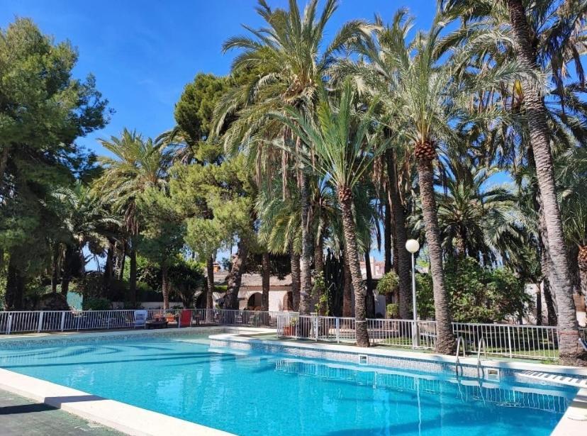 Pink Lemon House Bed & Breakfast Elche Exterior photo