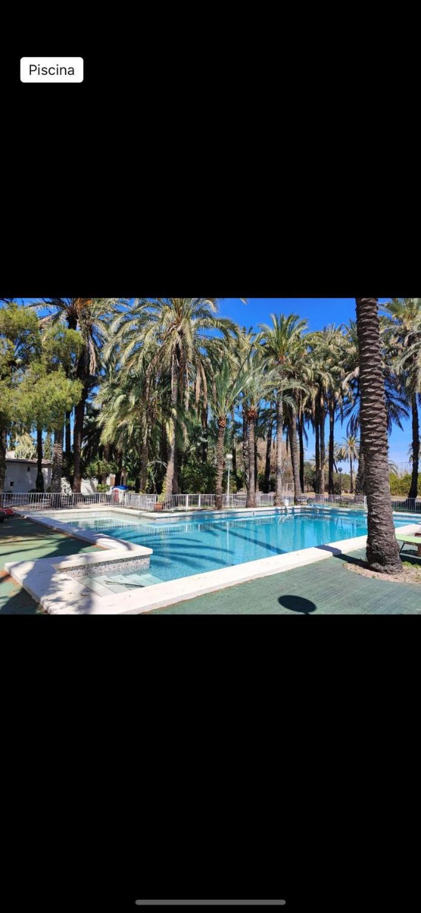 Pink Lemon House Bed & Breakfast Elche Exterior photo