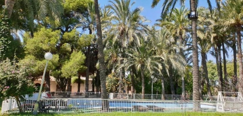 Pink Lemon House Bed & Breakfast Elche Exterior photo